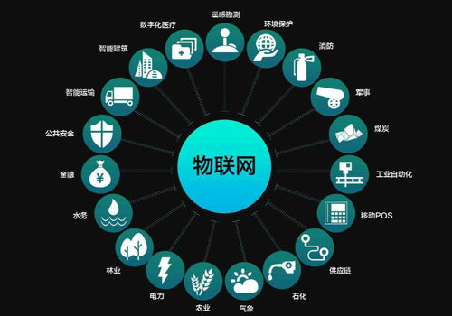 南充科技職業(yè)學院網(wǎng)絡系統(tǒng)集成專業(yè) 構建數(shù)字時代的網(wǎng)絡基石